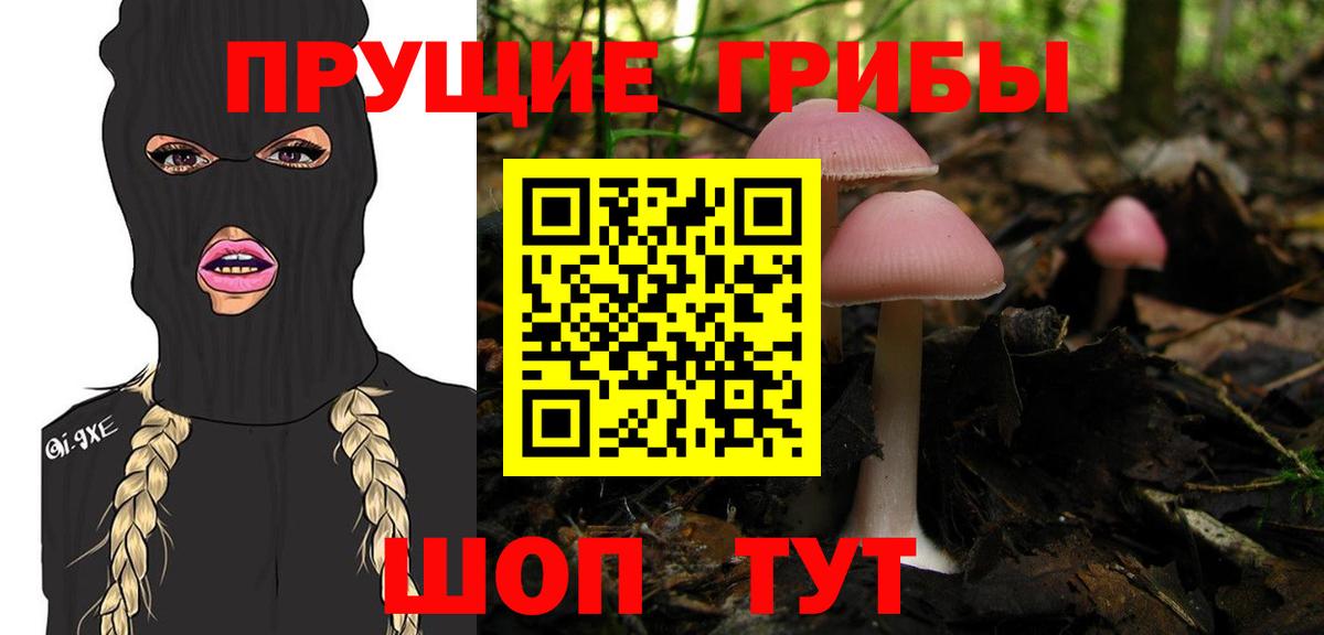 Псилоцибиновые грибы мицелий Красноуфимск